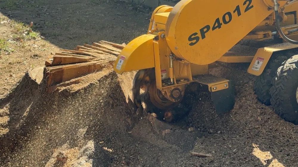 Expert garden landscaping for beautiful yards across Ware, MA - The Ugly Stump