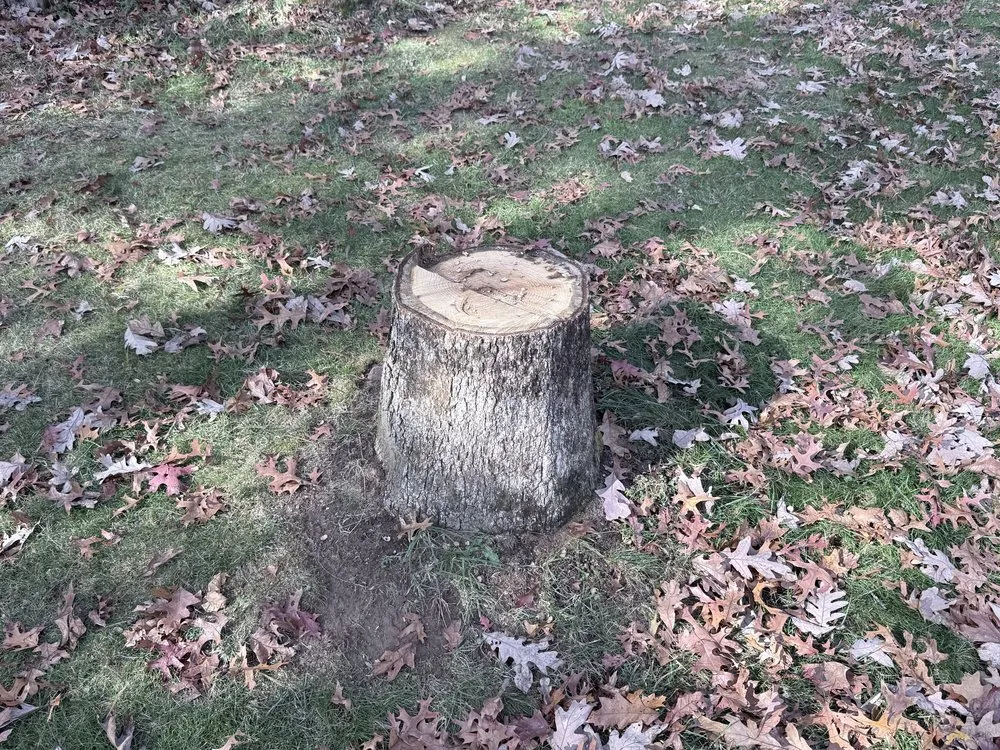 Professional landscape design in Ware, MA by The Ugly Stump