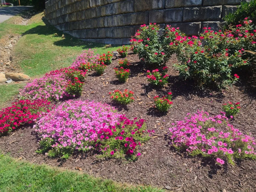 Reliable residential landscaping in Chattanooga, TN by The Uppercut Property Services
