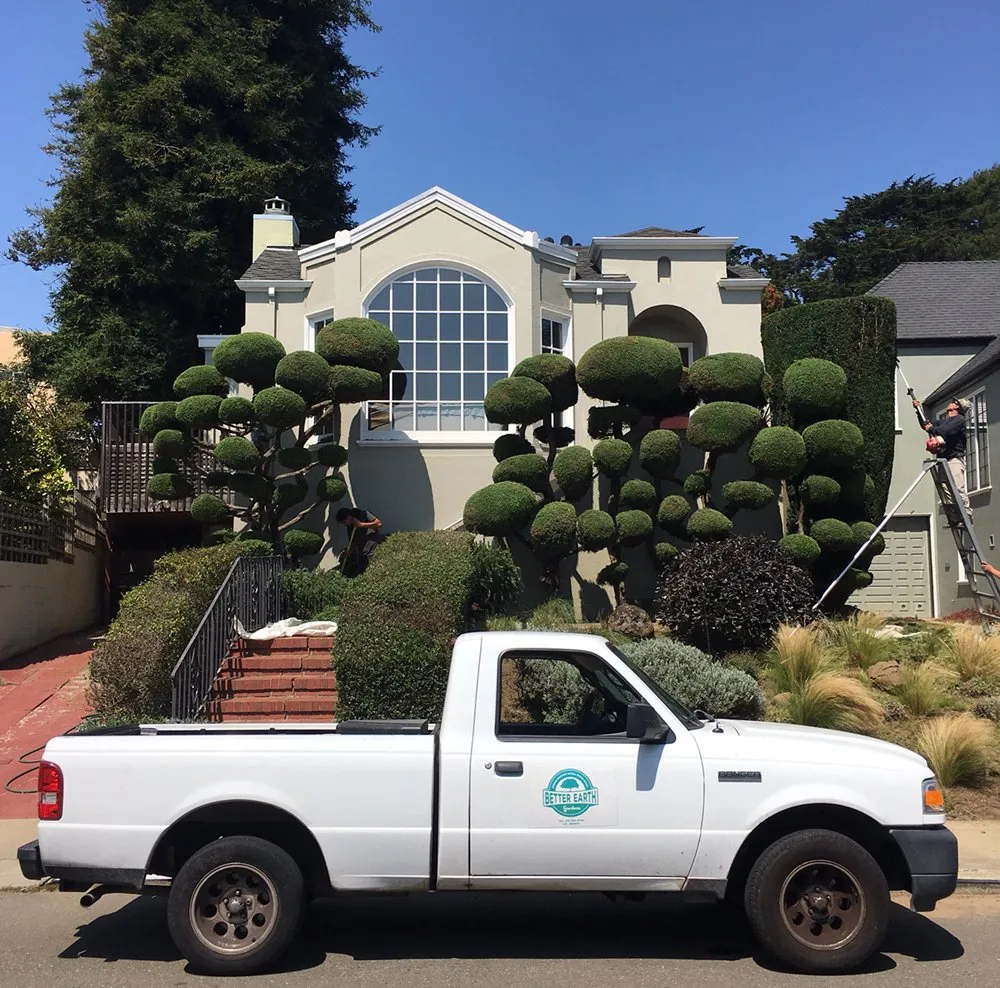 Expert residential landscaping for outdoor upgrades across San Francisco, CA - The Urban Gardener