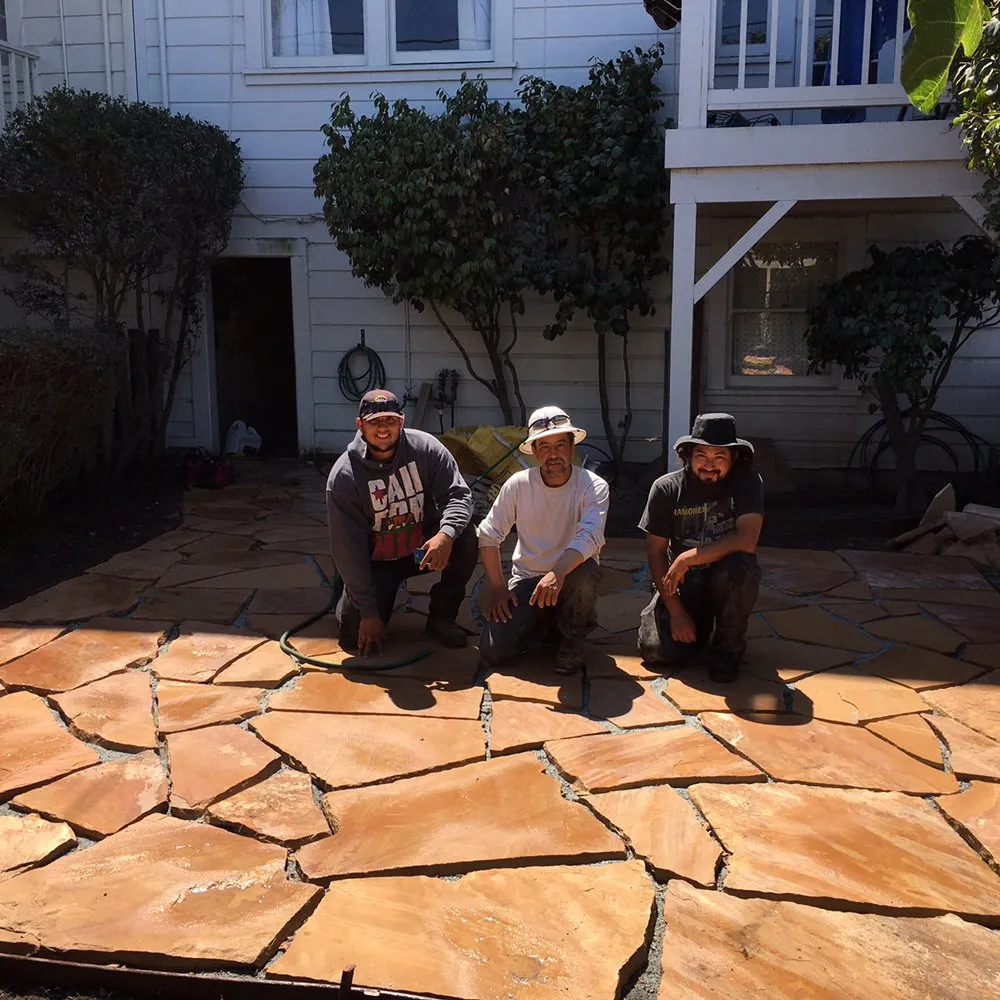 Custom yard maintenance experts serving San Francisco, CA - The Urban Gardener