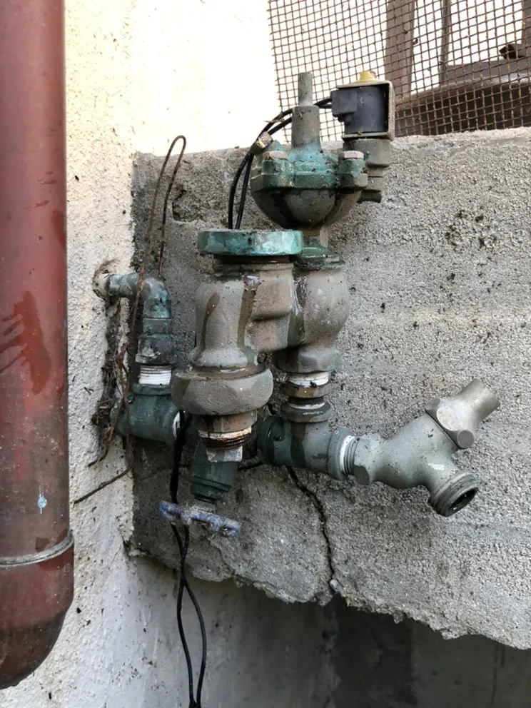 Affordable residential landscaping in San Francisco, CA - The Urban Gardener