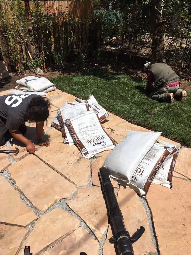 Top-rated landscape design for residential properties across San Francisco, CA - The Urban Gardener