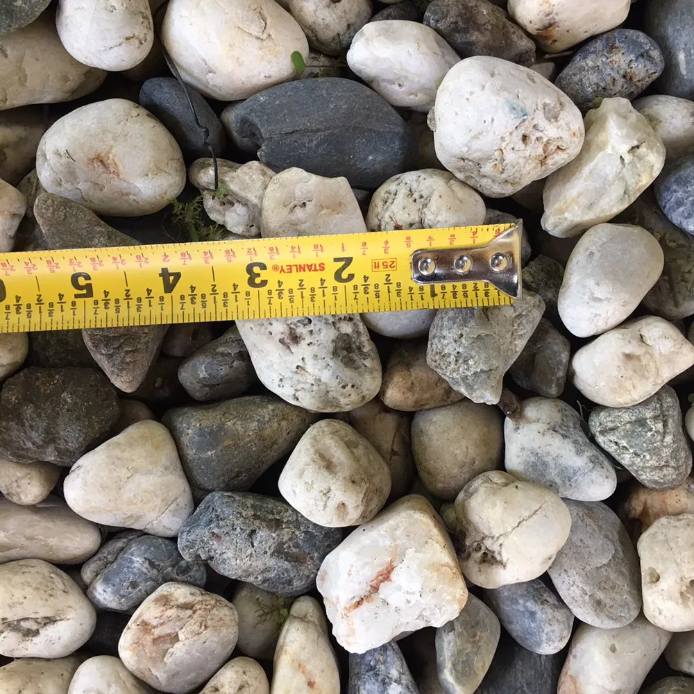 Reliable landscape design in San Francisco, CA - The Urban Gardener