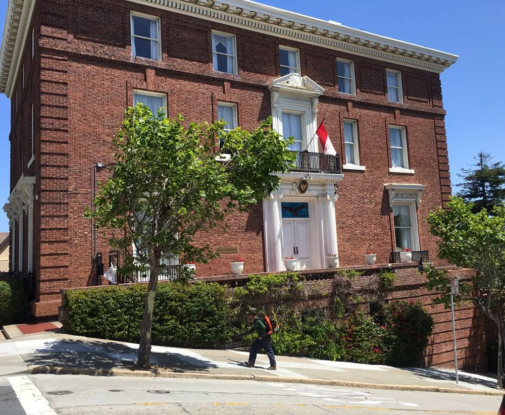 Top-rated garden landscaping in San Francisco, CA - The Urban Gardener