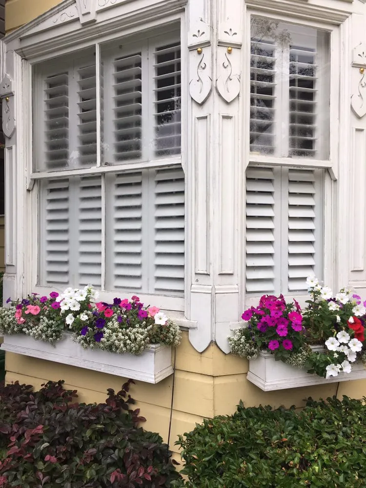 Expert outdoor landscaping in San Francisco, CA by The Urban Gardener