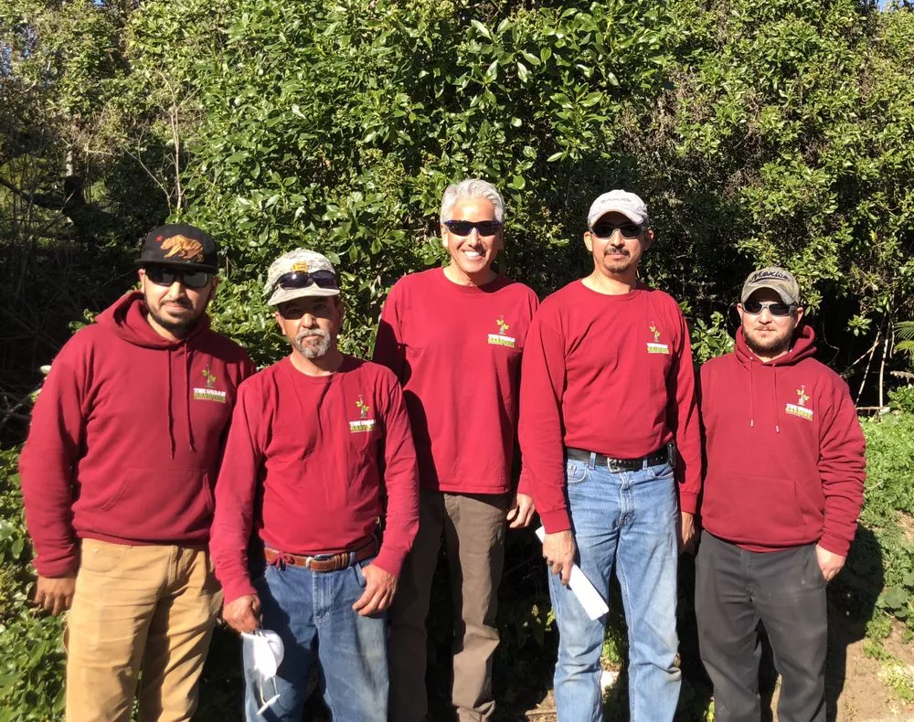 Expert lawn mowing service with custom design across San Francisco, CA - The Urban Gardener