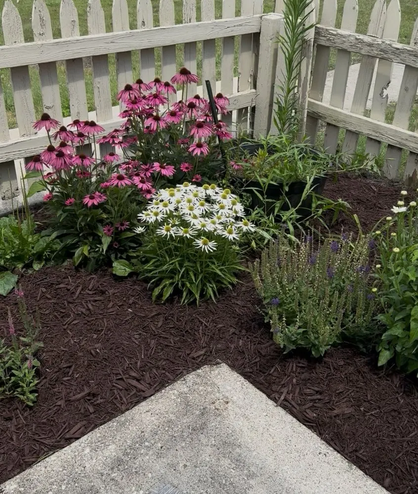 Professional landscape design experts serving Indianapolis, IN - The Urban Standard