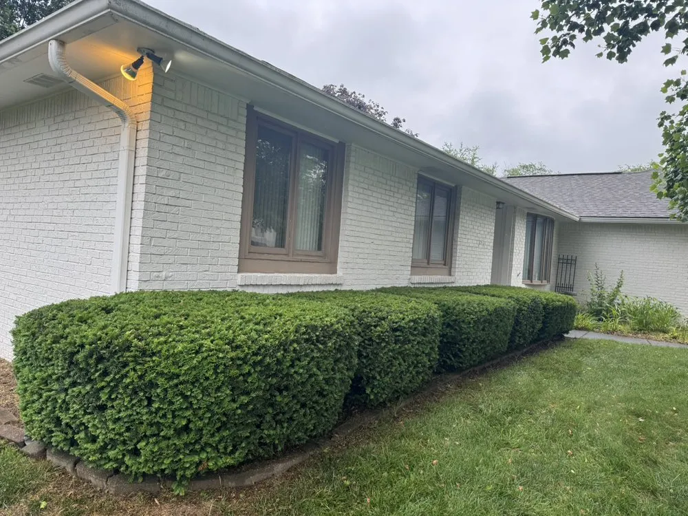 Affordable lawn care service for residential properties in Indianapolis, IN by The Urban Standard