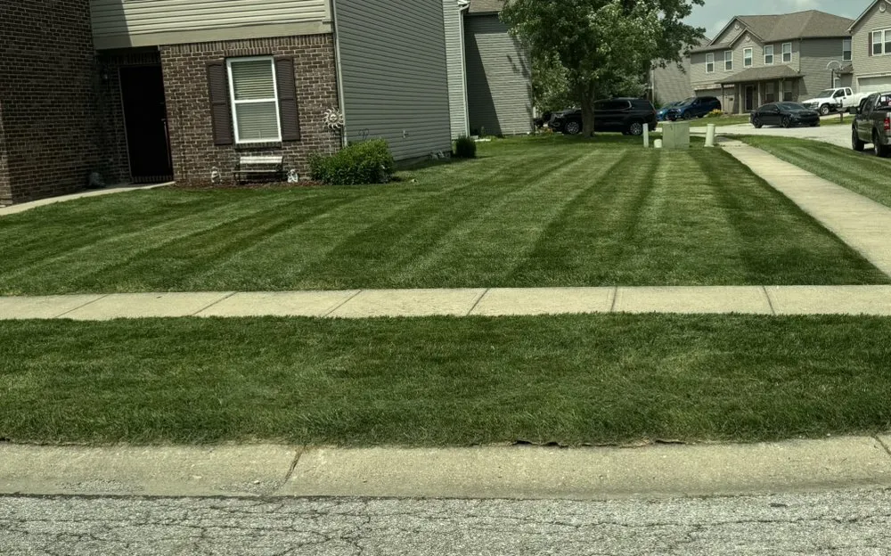 Professional lawn care service in Indianapolis, IN - The Urban Standard