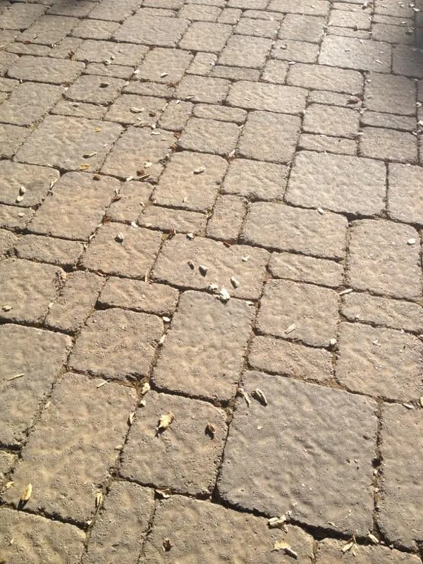 Affordable landscaping services in Morgan Hill, CA by The Valley Construction