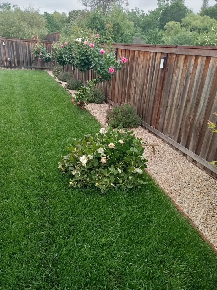 Local landscape installation experts serving Napa, CA - The Valley Landscape