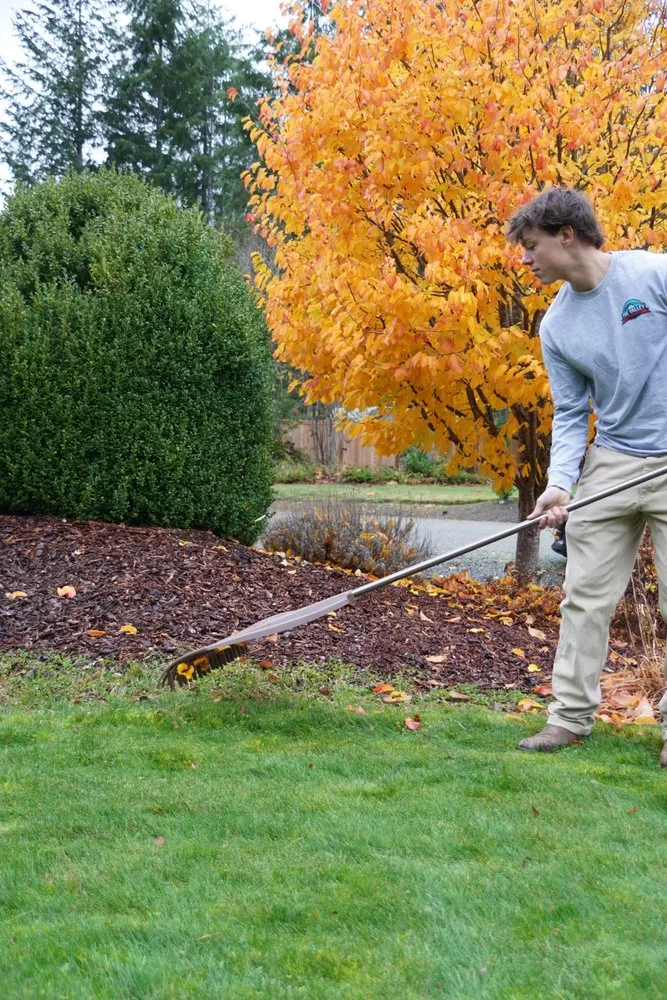 Affordable lawn care service in Snoqualmie, WA by The Valley Outdoor Services