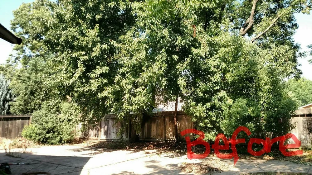 Local landscape design experts serving Modesto, CA - The Valley's Yard Cleaning