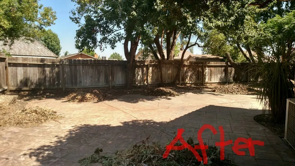 Top-rated lawn mowing service in Modesto, CA by The Valley's Yard Cleaning