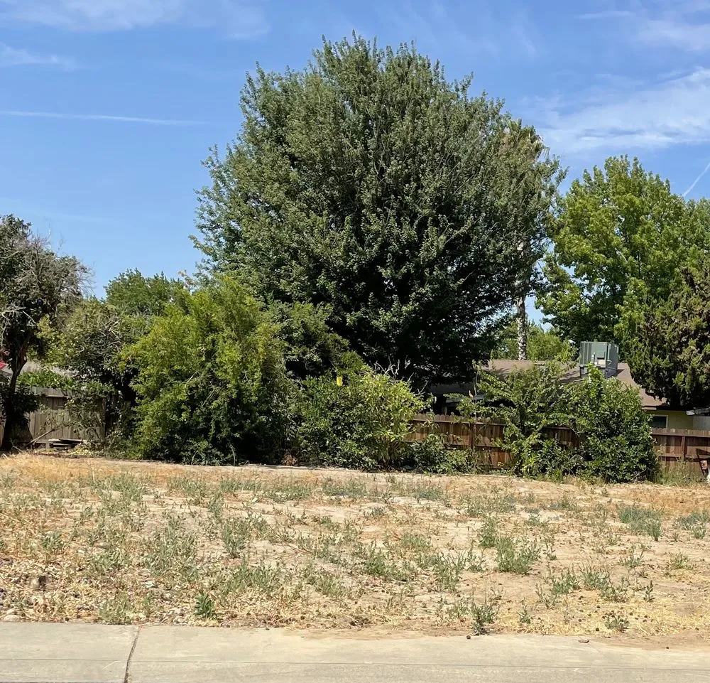 Professional landscaping services in Modesto, CA by The Valley's Yard Cleaning