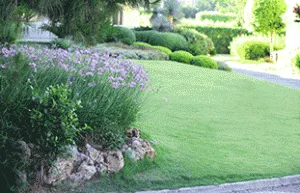 Professional garden landscaping for residential properties across Marlborough, MA - The Veron Company