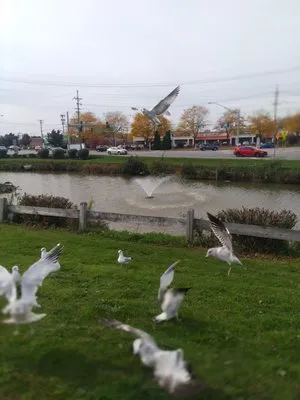 The versatile blockers Logo