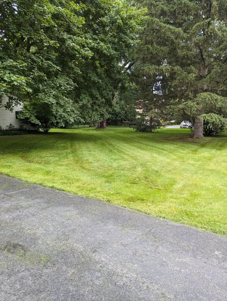 Reliable landscape installation in Fairport, NY - The Very Best Lawn Mowing Service