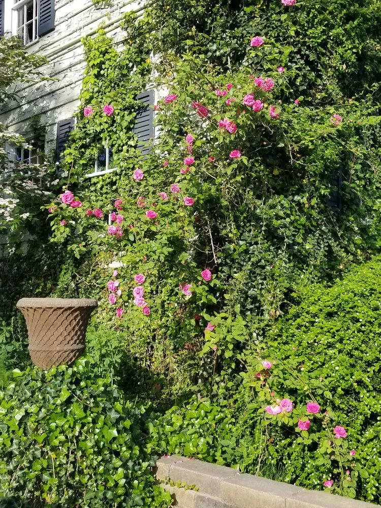 Affordable landscape design in Paducah, KY by The Village by Wahls'