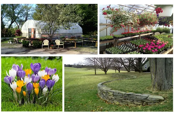 Professional landscape installation in Trumansburg, NY - The Village Greenhouse