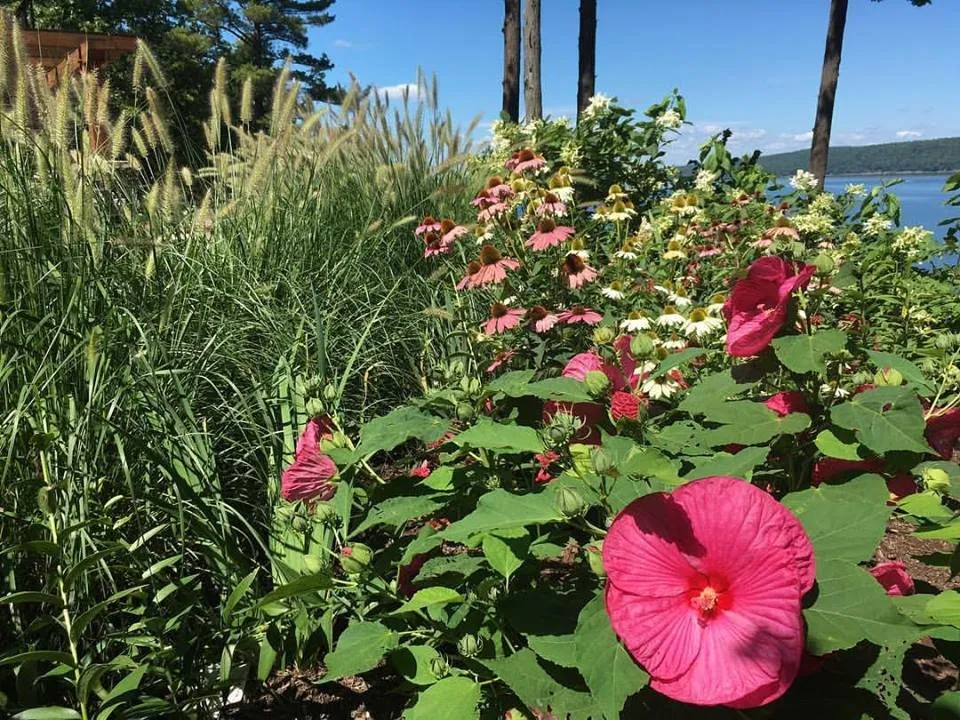 Trusted lawn care service for homes across Trumansburg, NY - The Village Greenhouse