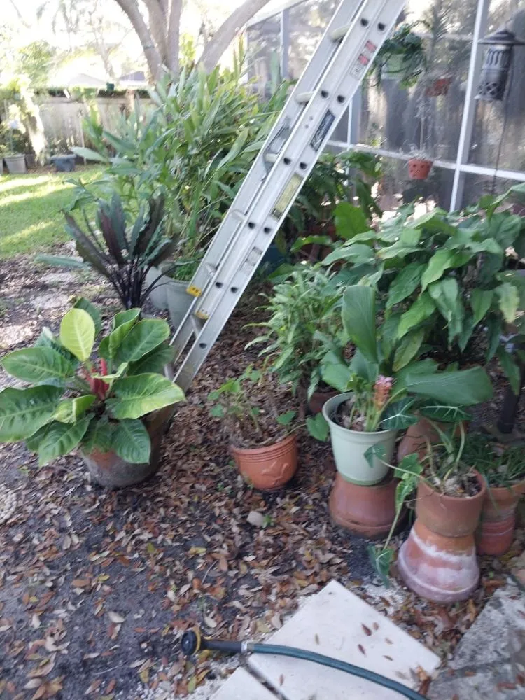 Professional outdoor landscaping in Summerfield, FL by The Villages Property Care
