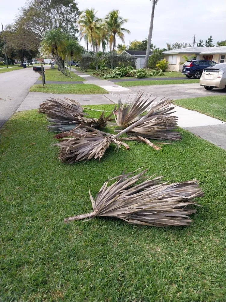 Trusted garden landscaping for residential properties across Summerfield, FL - The Villages Property Care