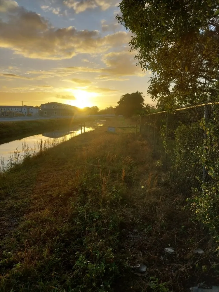 Reliable landscape installation for beautiful yards across Summerfield, FL - The Villages Property Care