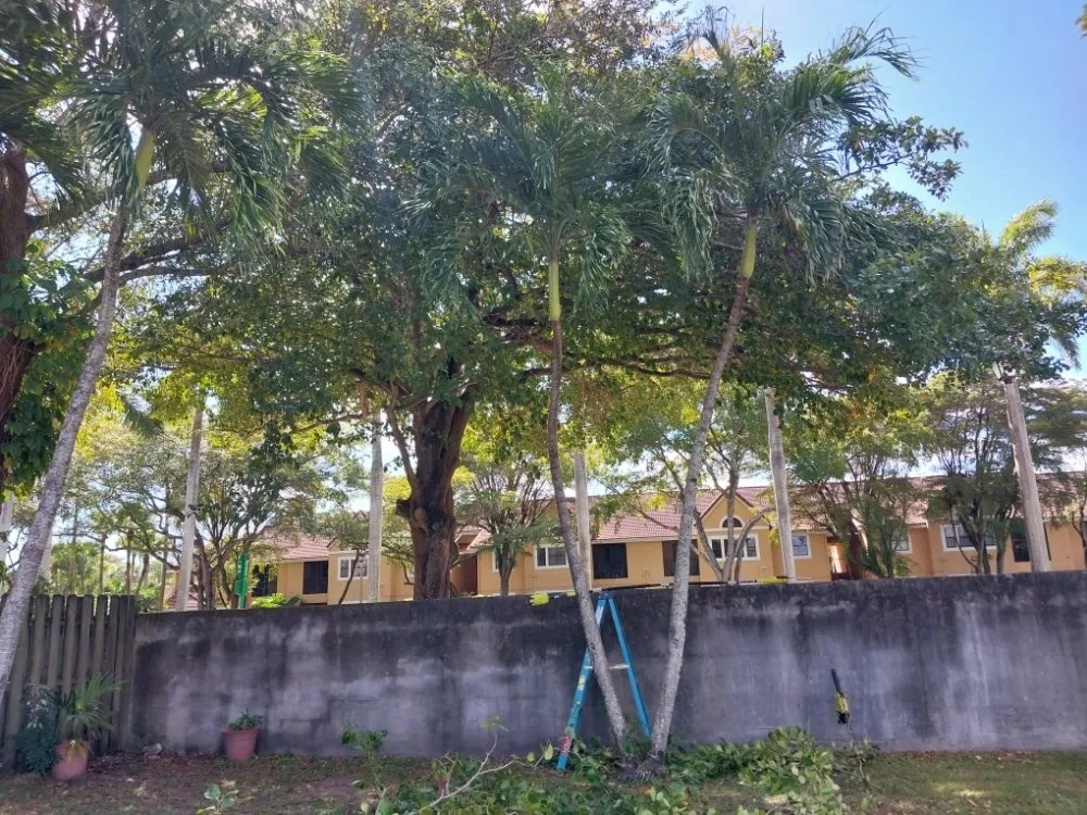 Top-rated outdoor landscaping in Summerfield, FL - The Villages Property Care