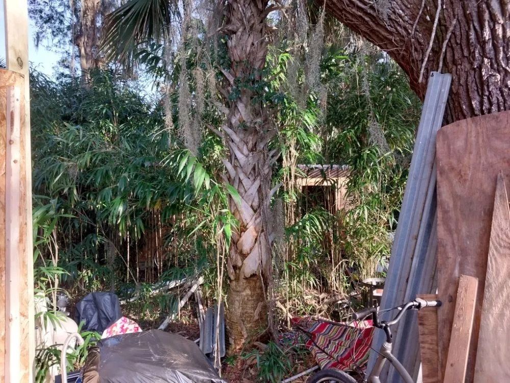 Top-rated outdoor landscaping in Summerfield, FL - The Villages Property Care