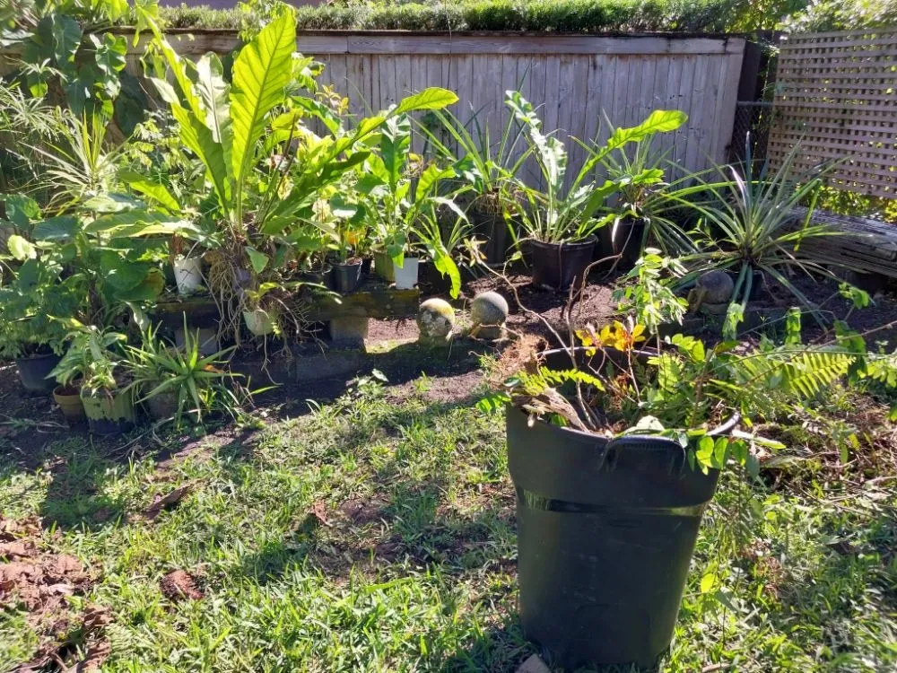 Expert garden landscaping in Summerfield, FL by The Villages Property Care