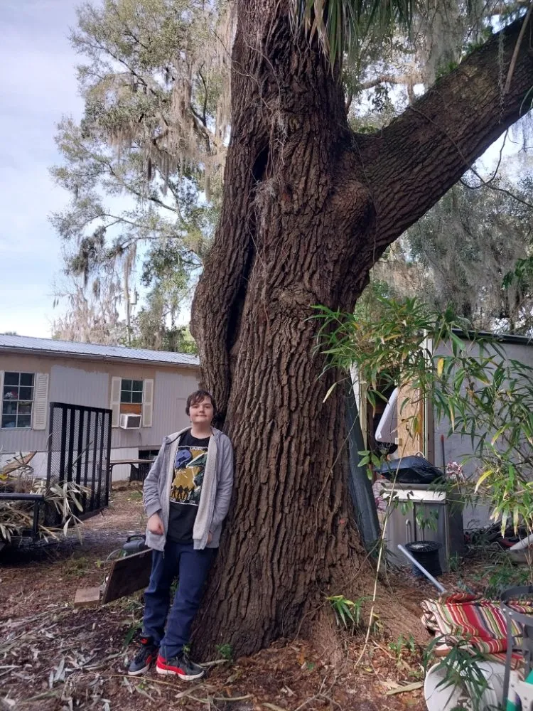 Custom yard cleanup service in Summerfield, FL - The Villages Property Care