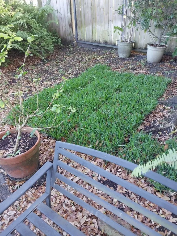 Expert landscape installation in Summerfield, FL - The Villages Property Care