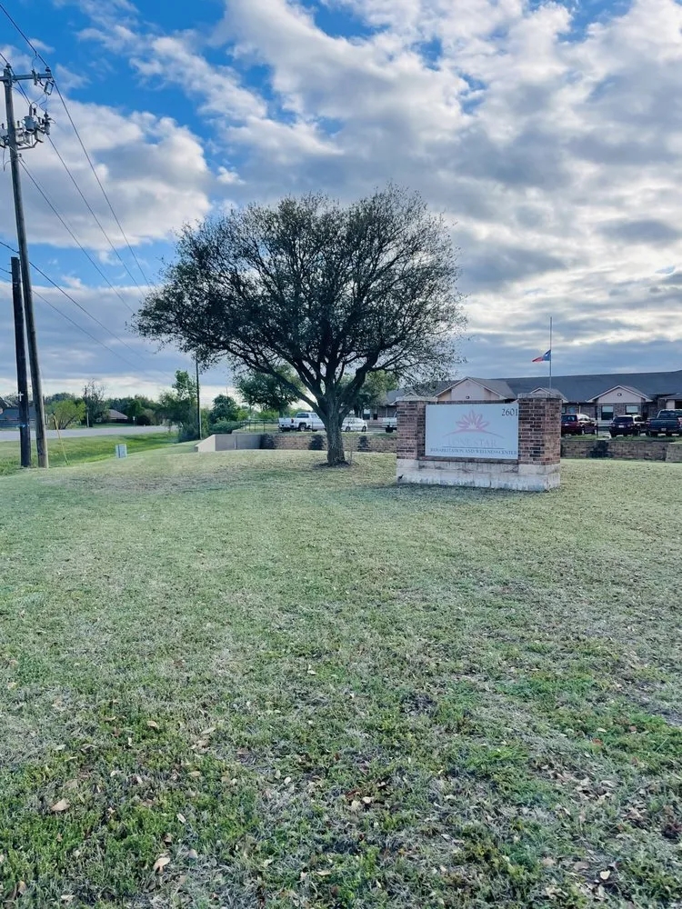 Top-rated landscaping services experts serving Stephenville, TX - The Ville Lawn