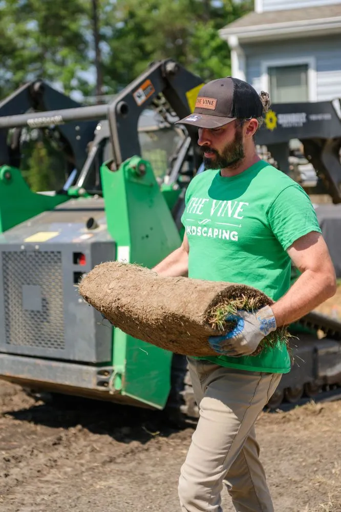 Affordable outdoor landscaping with custom design in Newport News, VA by The Vine Landscaping