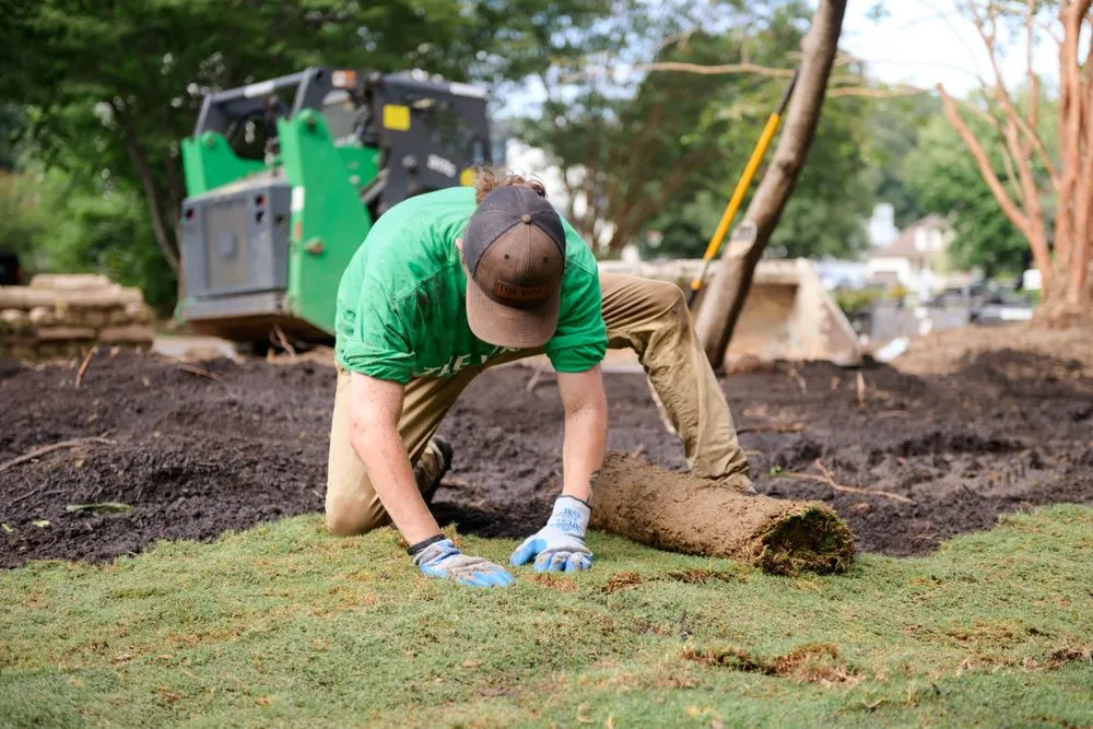Trusted residential landscaping in Newport News, VA - The Vine Landscaping
