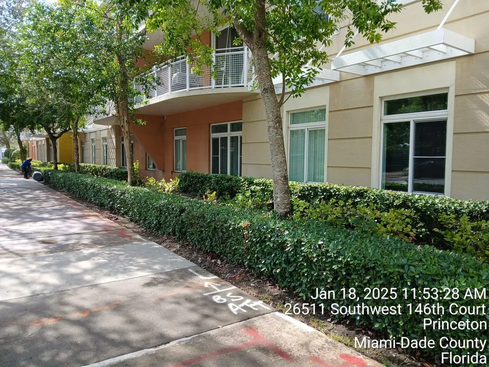 Affordable landscaping services near you in Davie, FL by The Vision Garden Landscaping