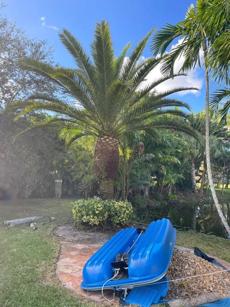 Affordable landscape installation experts serving Davie, FL - The Vision Garden Landscaping