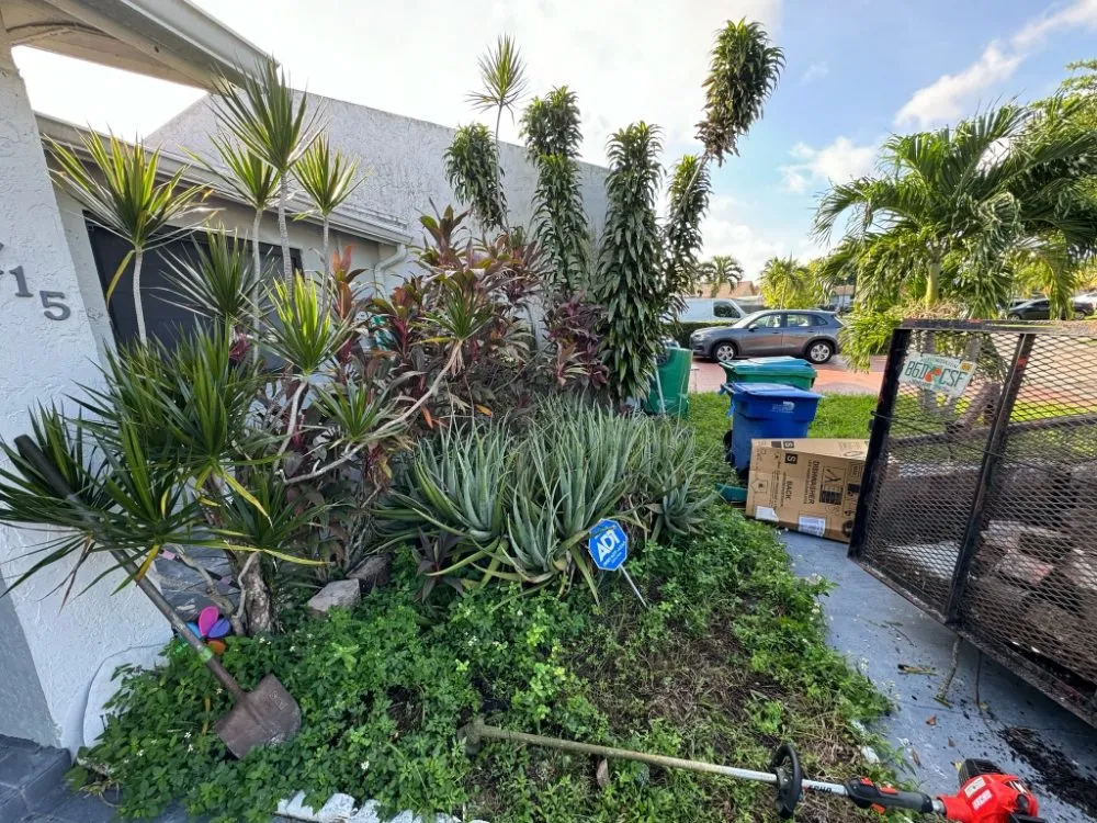 Reliable lawn mowing service for beautiful yards across Davie, FL - The Vision Garden Landscaping