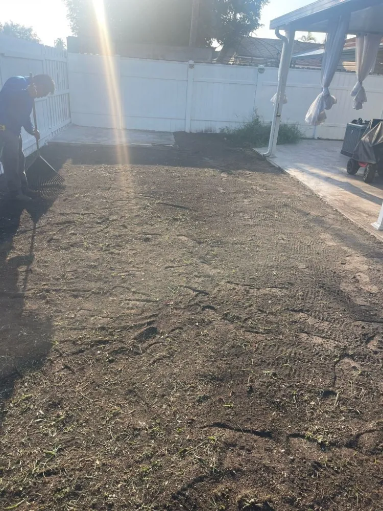 Top-rated garden landscaping for beautiful yards in Davie, FL by The Vision Garden Landscaping