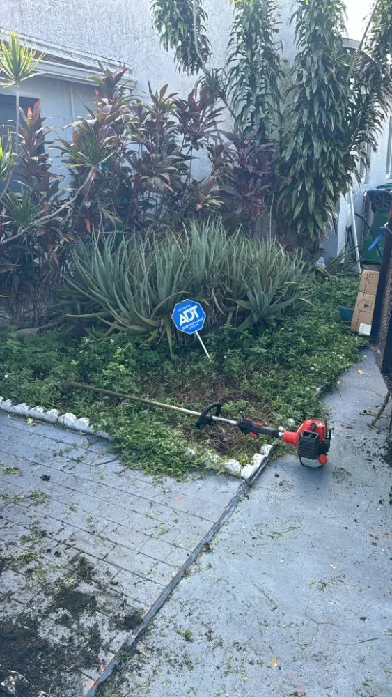 Top-rated outdoor landscaping near you in Davie, FL by The Vision Garden Landscaping