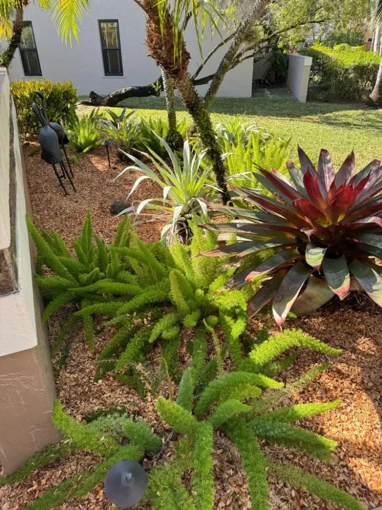 Top-rated lawn care service experts serving Davie, FL - The Vision Garden Landscaping