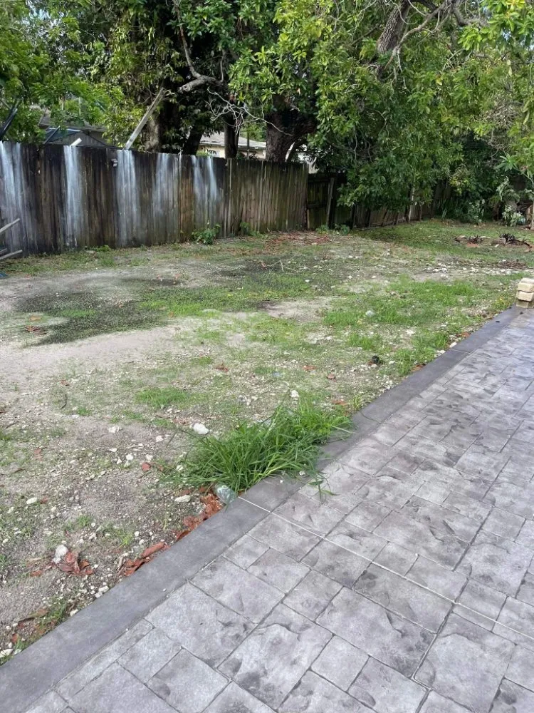 Professional landscape design in Davie, FL - The Vision Garden Landscaping