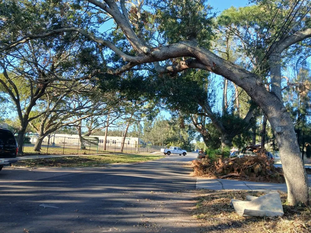 Affordable residential landscaping in Davie, FL - The Vision Garden Landscaping