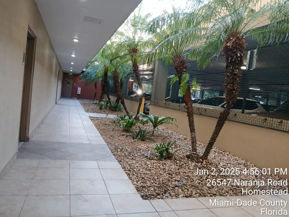 Top-rated garden landscaping for outdoor upgrades across Davie, FL - The Vision Garden Landscaping