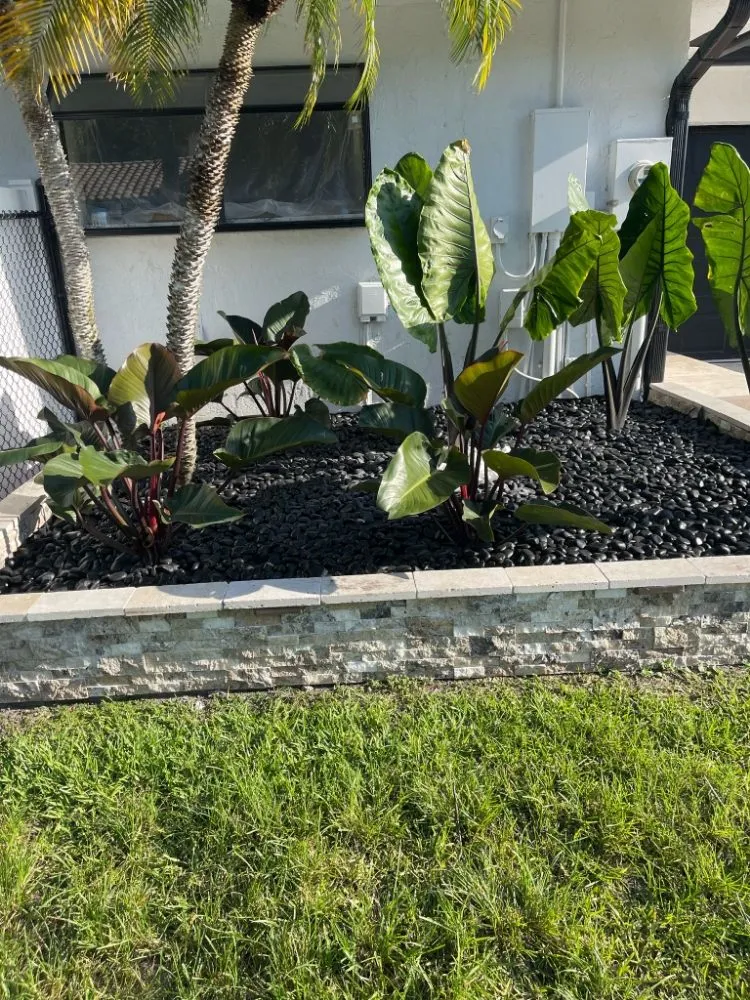 Local residential landscaping for residential properties across Davie, FL - The Vision Garden Landscaping