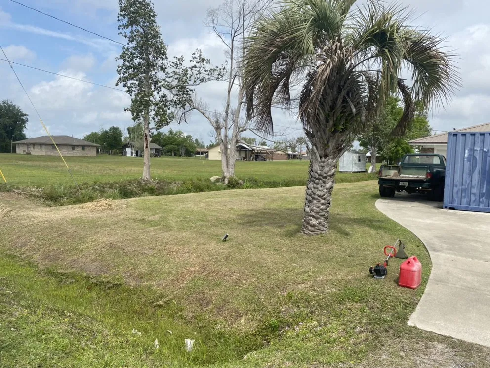 Reliable yard maintenance experts serving Panama City, FL - The Ward’s Landscaping