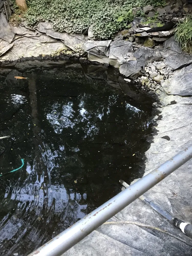 Expert lawn care service in Milwaukie, OR by The Water Feature Pro's