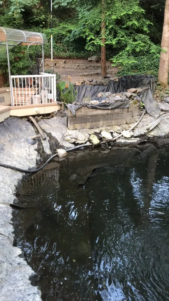 Professional yard cleanup service for year-round maintenance across Milwaukie, OR - The Water Feature Pro's